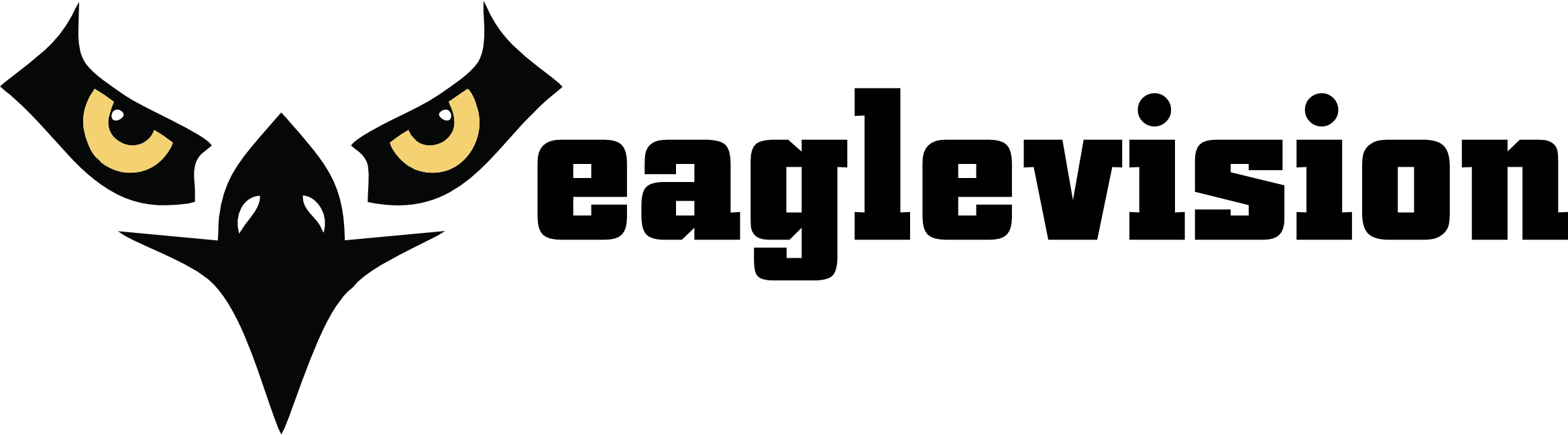Eagle Vision Media